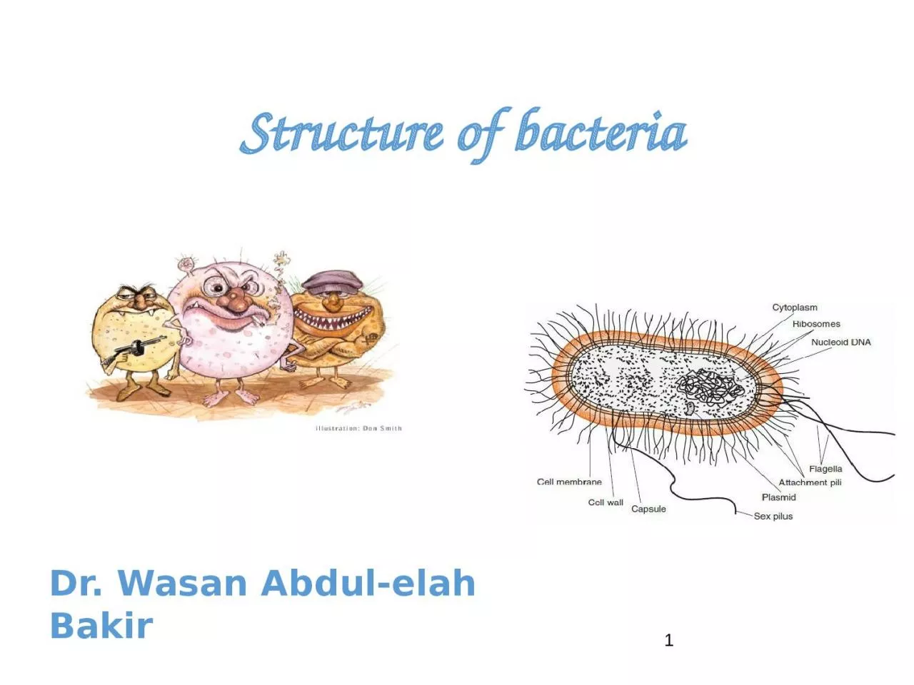 PPT-1 Dr. Wasan Abdul- elah