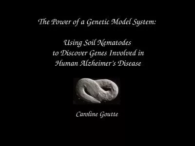 Caroline  Goutte The Power of a Genetic Model System:
