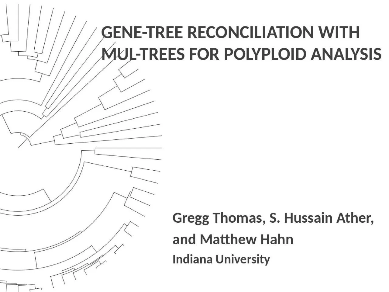 PPT-Gene-tree reconciliation with MUL-trees for