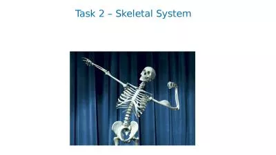 Task 2 – Skeletal System