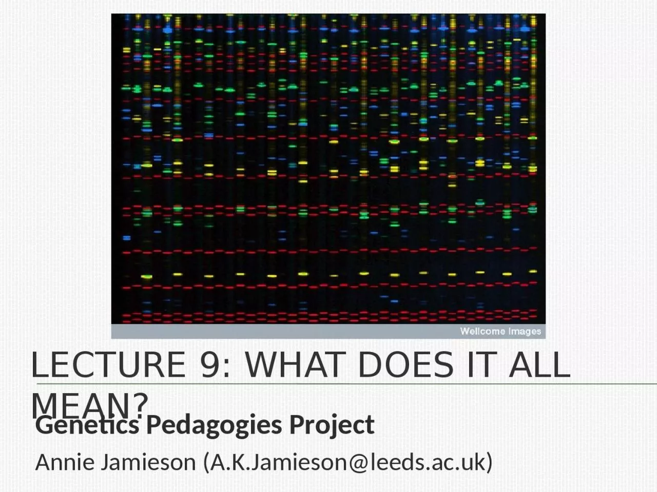 PPT-Lecture 9: what does it all mean?