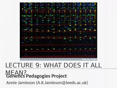 Lecture 9: what does it all mean?