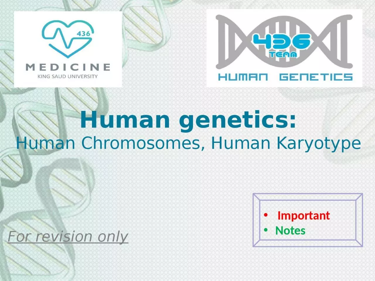 Human genetics: Human Chromosomes, Human Karyotype