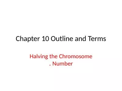 Chapter 10 Outline and Terms