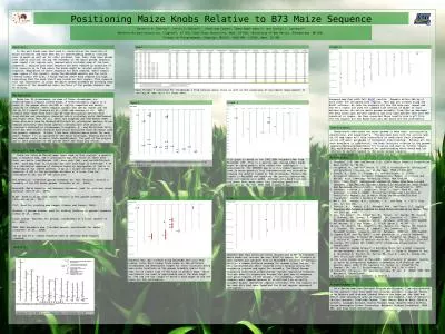 Positioning Maize Knobs Relative to B73 Maize Sequence