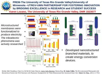 PREM-The University of Texas Rio Grande Valley/University of Minnesota –UTRGV-UMN PARTNERSHIP