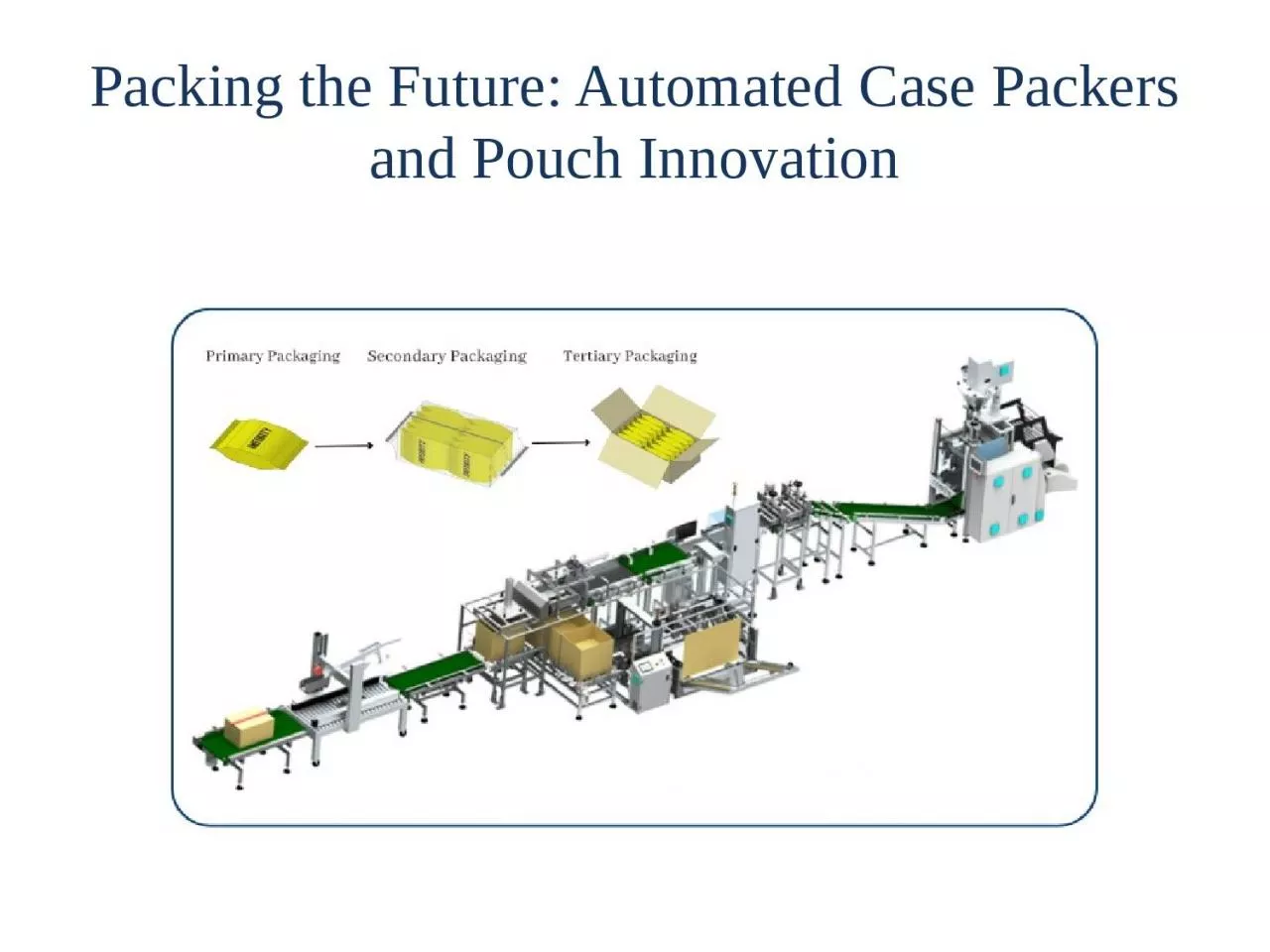 Packing the Future: Automated Case Packers and Pouch Innovation