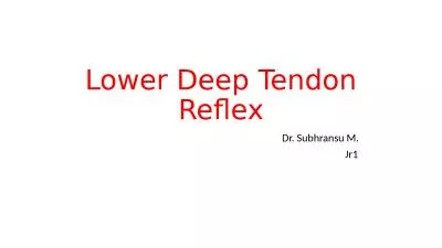 Lower Deep Tendon Reflex