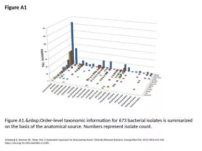 Figure A1 Figure A1.&nbsp;Order-level taxonomic information for 673 bacterial isolates