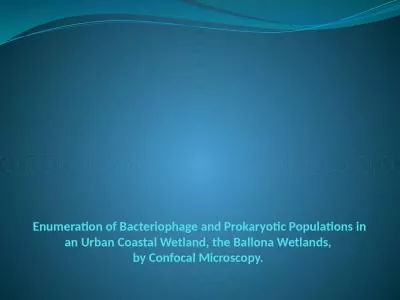 Enumeration of  Bacteriophage