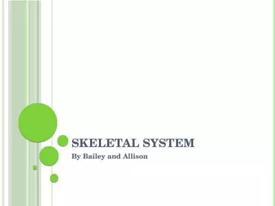 Skeletal System By Bailey and Allison