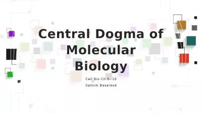 Central Dogma of Molecular Biology