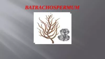 Batrachospermum Batrachospermum