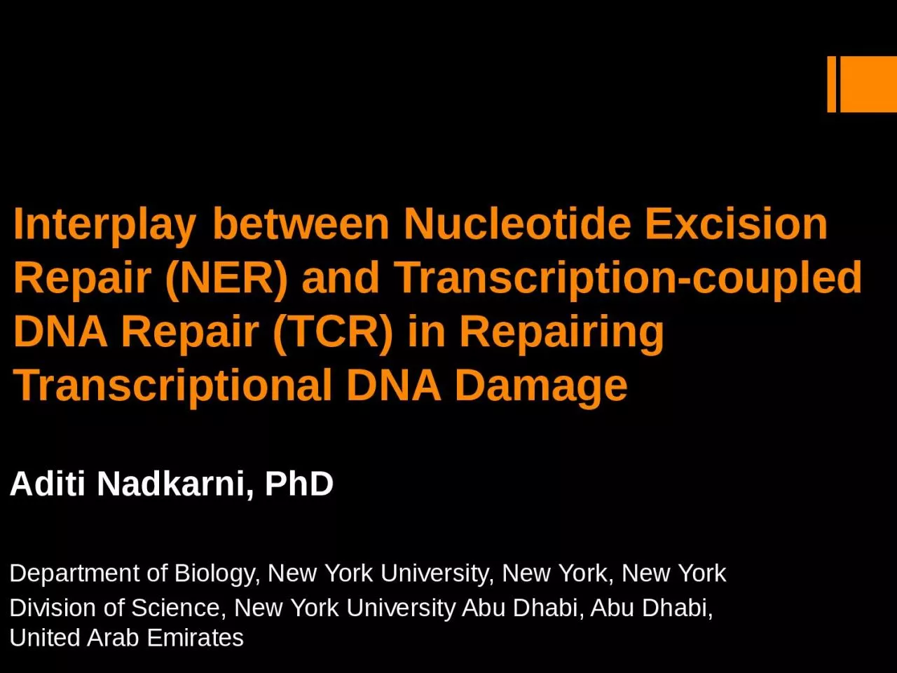 Interplay between Nucleotide Excision Repair (NER) and Transcription-coupled DNA Repair