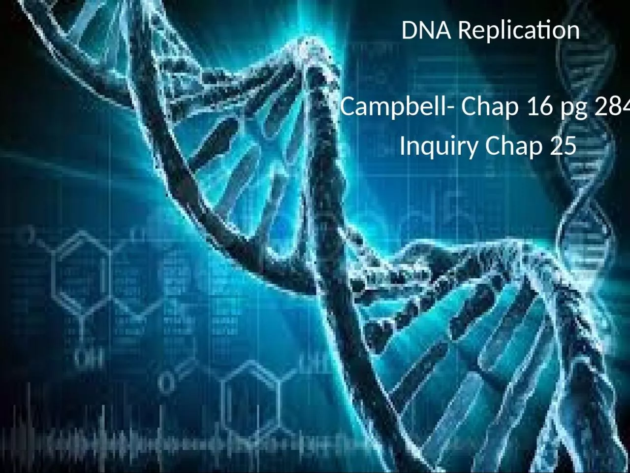 PPT-DNA Replication Campbell- Chap 16