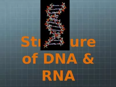 Structure of DNA & RNA