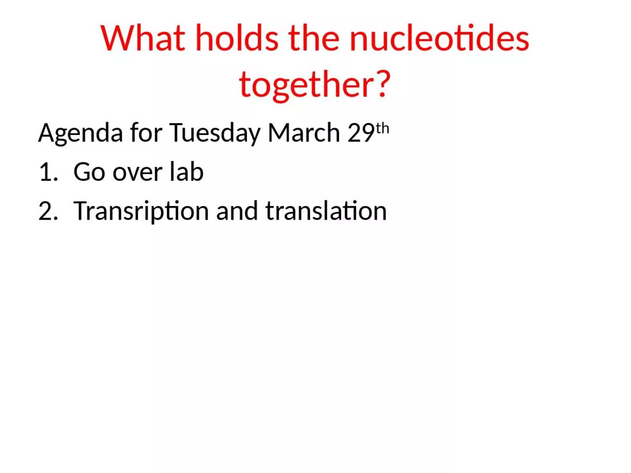 What holds the nucleotides together?