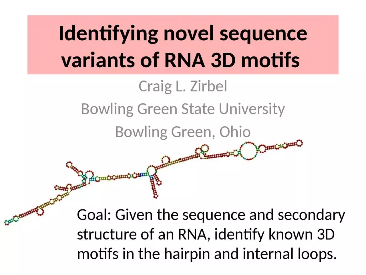 PPT-Identifying novel sequence variants of RNA 3D motifs