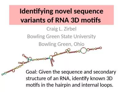 Identifying  novel sequence variants of RNA 3D motifs