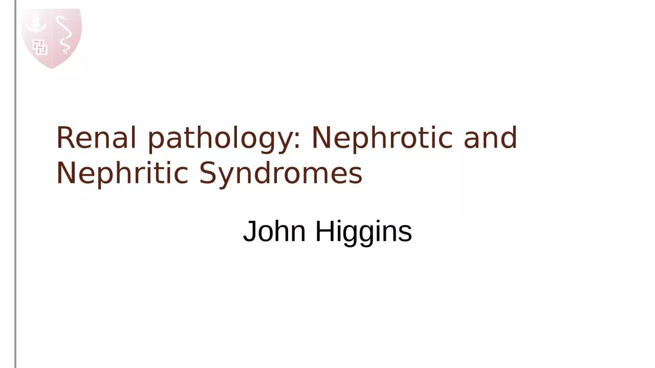 Renal pathology:  Nephrotic