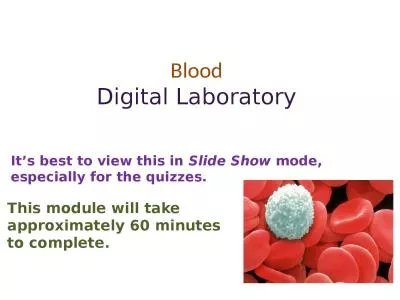 Blood Digital Laboratory