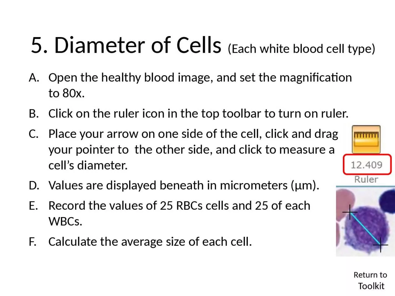 PPT-5 . Diameter of Cells (Each white blood cell type)