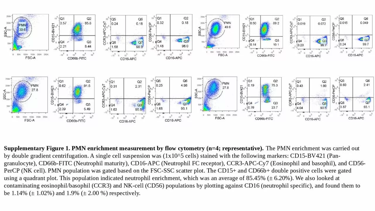 Supplementary Figure 1. PMN enrichment measurement by flow cytometry (n=4; representative).