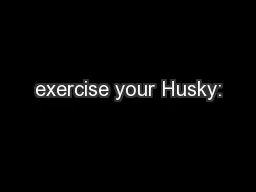 exercise your Husky: