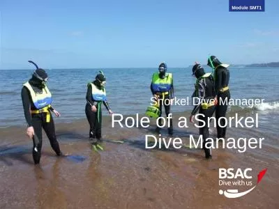 Snorkel Dive Manager Role of a Snorkel