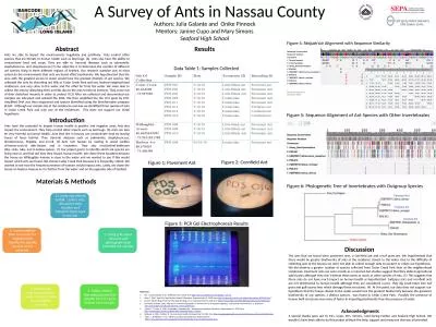 A  Survey of Ants in Nassau County