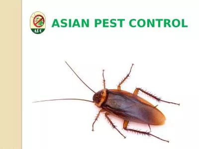 ASIAN PEST CONTROL asian