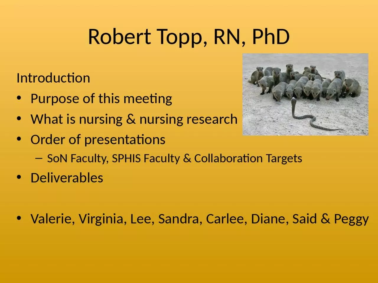 PPT-Robert Topp, RN, PhD Introduction