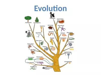 Evolution Scientific Theories