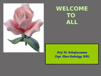 WELCOME TO  ALL Prof. M. Ashrafuzzaman