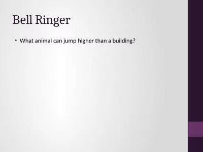 Bell Ringer What animal can jump higher than a building?