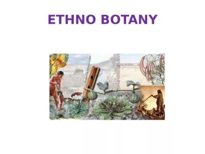 ETHNO BOTANY ETHNO BOTANY