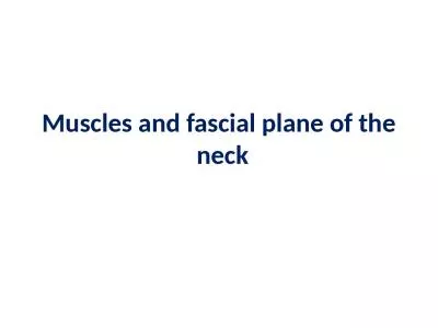 Muscles and  fascial  plane of the neck