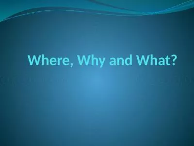 Where, Why and What? Terms Used to Describe Direction and Surface