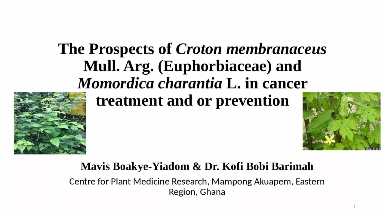 PPT-The Prospects of Croton membranaceus