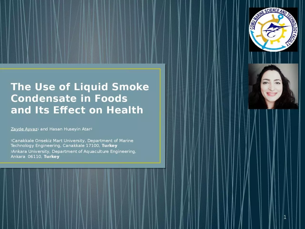 The Use of Liquid Smoke Condensate in Foods and Its Effect on Health