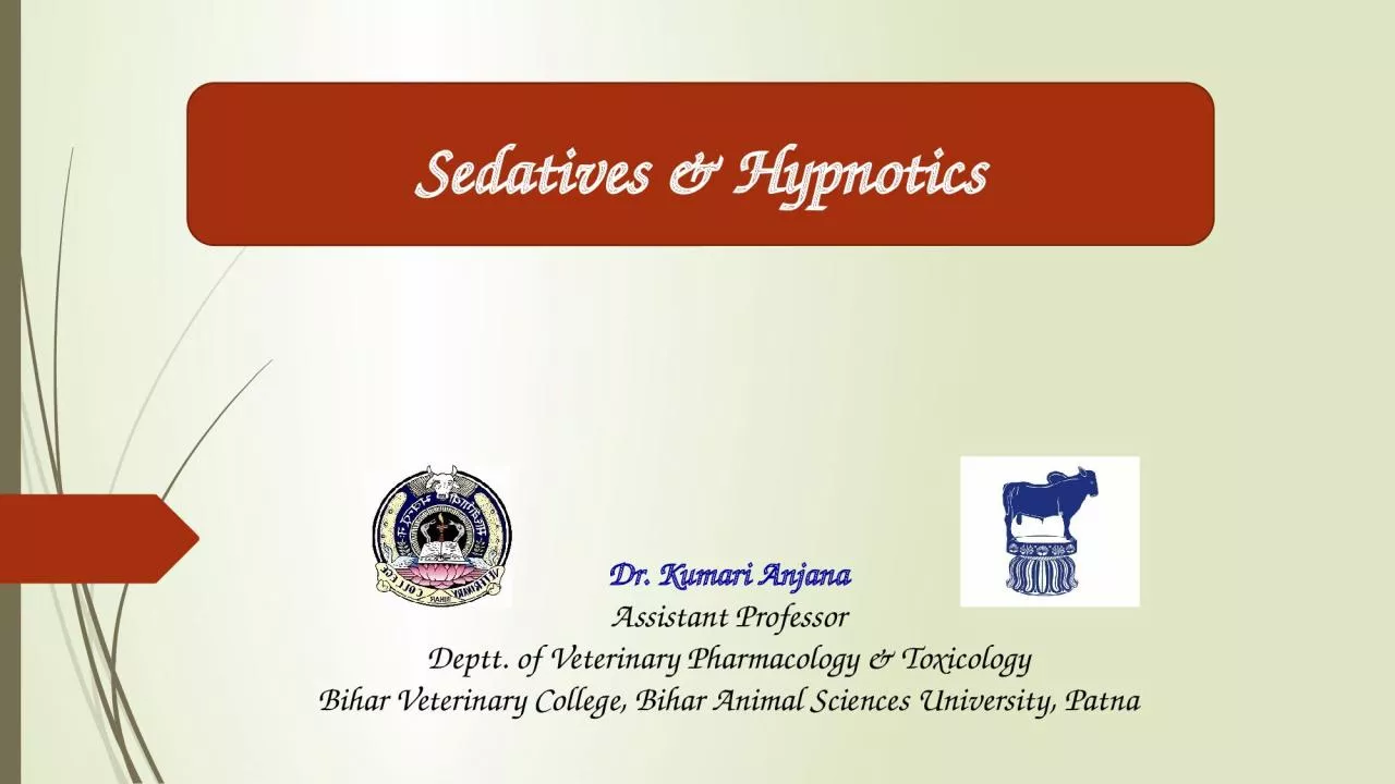 PPT-Sedatives & Hypnotics