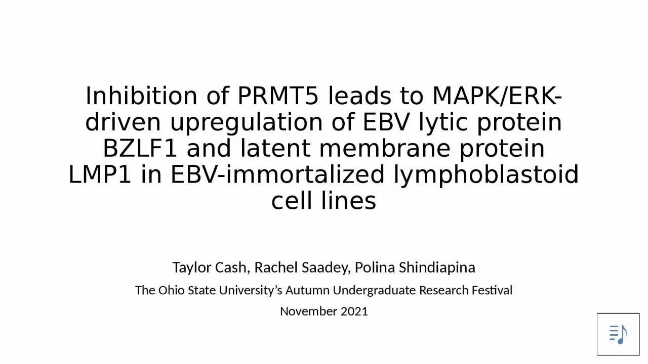 PPT-Inhibition of PRMT5 leads to MAPK/ERK-driven upregulation of EBV lytic protein BZLF1 and