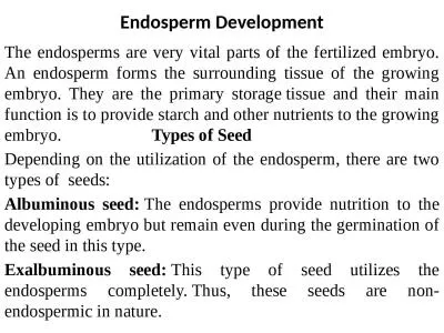 Endosperm Development The endosperms are very vital parts of the fertilized embryo. An