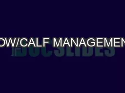 COW/CALF MANAGEMENT