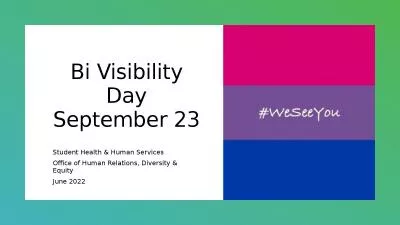 Bi Visibility Day September 23