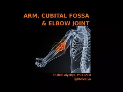 ARM, CUBITAL FOSSA  & ELBOW JOINT