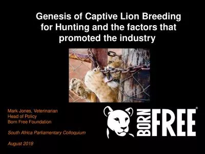 Genesis of Captive Lion Breeding for Hunting and the factors