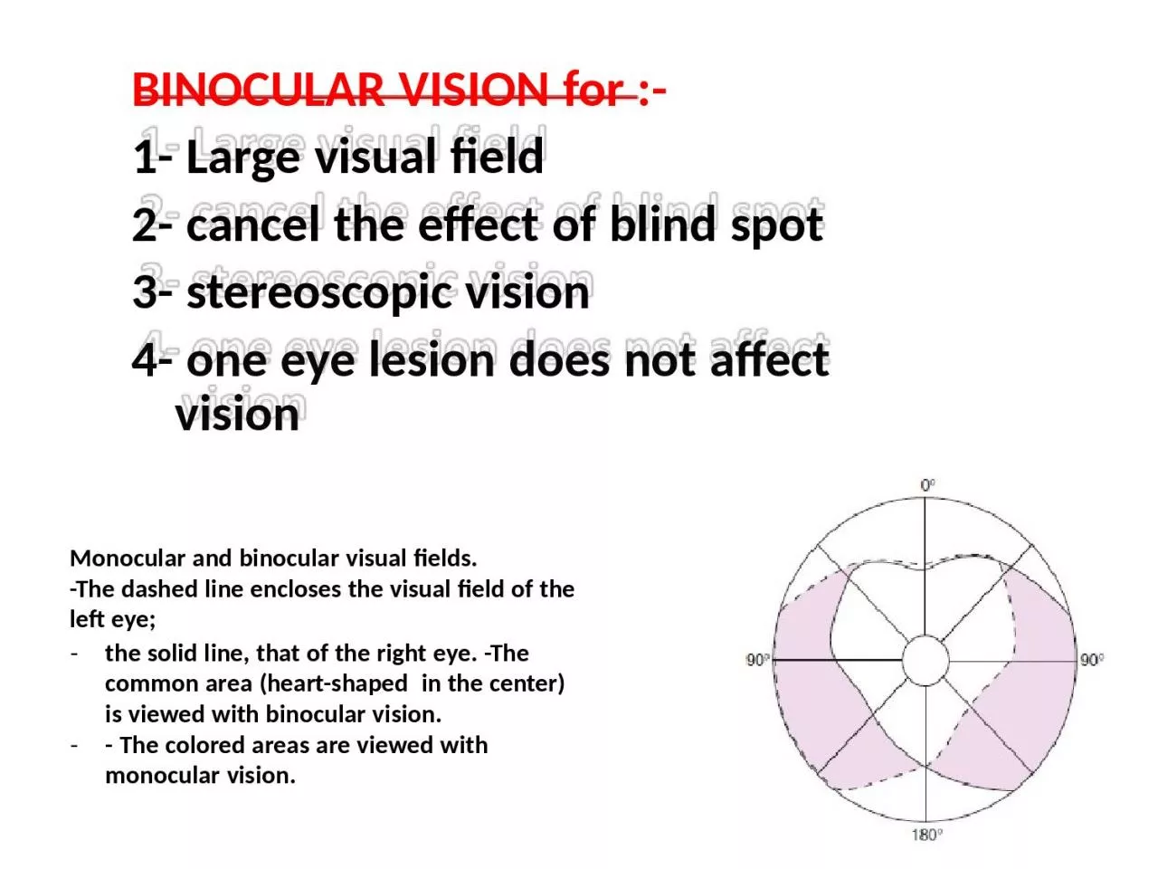 PPT-BINOCULAR VISION for