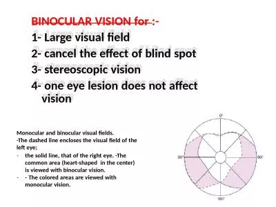 BINOCULAR   VISION   for