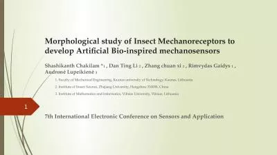 Morphological study of Insect Mechanoreceptors to develop Artificial Bio-inspired mechanosensors